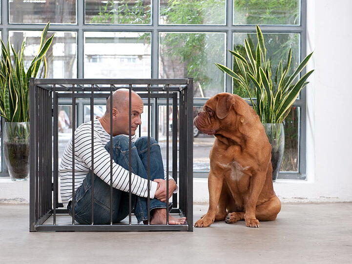 Ungewohntes Bild: Christoph Maria Herbst im Käfig, der Hund draußen