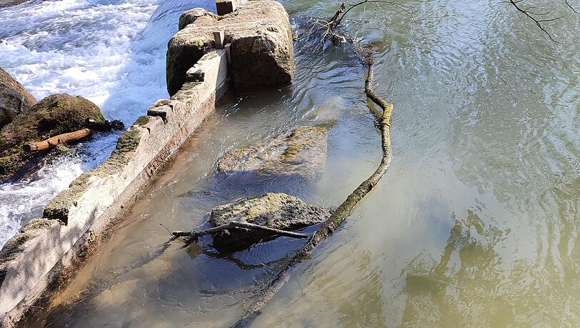 Dieser Ast blockiert am Freitagmorgen das Dammbalkenwehr etwa 200 Meter unterhalb der Eisbachwelle.