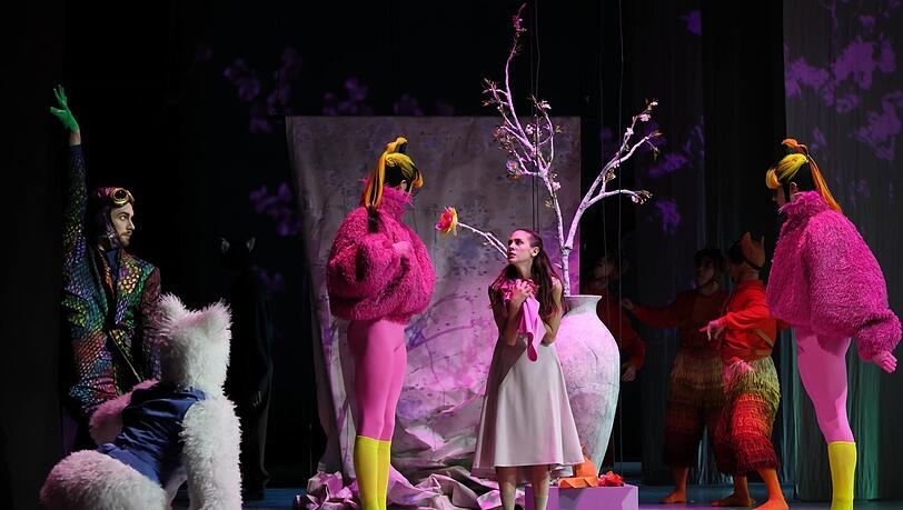 Dean Elliott (Chamäleon), Ariane Roustan (Lama), Gjergji Meshaj (Flamingo), Micaela Romano Serrano (Aschenbrödel), César Lopez Castillo (Flamingo) Dean Elliott (Chamäleon), Ariane Roustan (Lama), Gjergji Meshaj (Flamingo), Micaela Romano Serrano (Aschenbrödel), César Lopez Castillo (Flamingo)