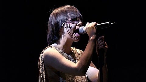Auch Sängerin Björk hat auf dem Label "One Little Indian" Musik veröffentlicht