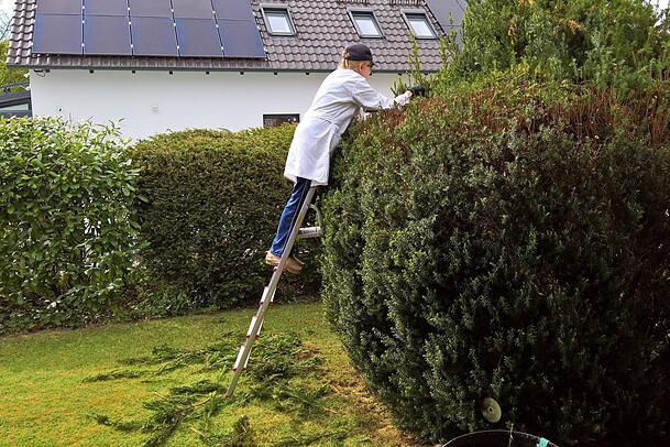 Wer noch seine Bäume und Büsche radikal zuschneiden möchte, darf dies nur noch bis Ende Februar tun. Wer noch seine Bäume und Büsche radikal zuschneiden möchte, darf dies nur noch bis Ende Februar tun.