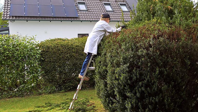 Wer noch seine Bäume und Büsche radikal zuschneiden möchte, darf dies nur noch bis Ende Februar tun. Wer noch seine Bäume und Büsche radikal zuschneiden möchte, darf dies nur noch bis Ende Februar tun.