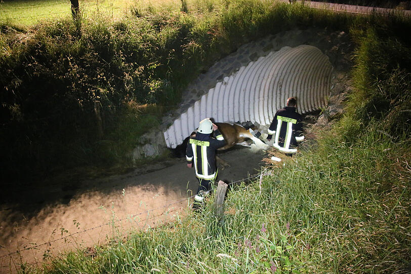 Weitere Bilder vom tragischen Unfall.