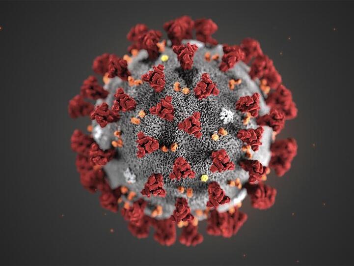 Eine 3D-Darstellung eines Coronavirus. Foto: Uncredited/Centers for Disease Control and Prevention/AP/dpa/Archivbild
