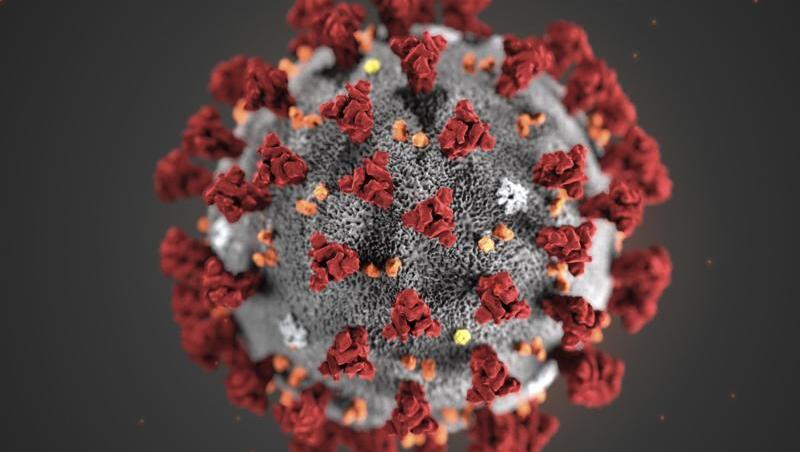 Eine 3D-Darstellung eines Coronavirus. Foto: Uncredited/Centers for Disease Control and Prevention/AP/dpa/Archivbild Eine 3D-Darstellung eines Coronavirus. Foto: Uncredited/Centers for Disease Control and Prevention/AP/dpa/Archivbild
