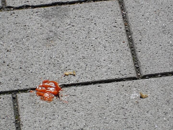 Ein Gruß aus der Küche...