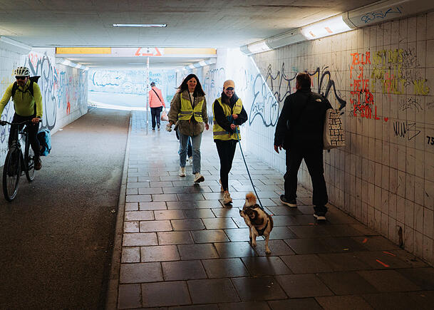 Mischlingshündin Allie (4) steht vor einer Herausforderung. Ihre Suchroute führt sie durch einen Tunnel - knifflig wegen der Luftströmungen. Mischlingshündin Allie (4) steht vor einer Herausforderung. Ihre Suchroute führt sie durch einen Tunnel - knifflig wegen der Luftströmungen.