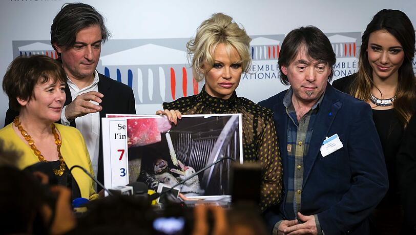 Setzt sich für den Tierschutz ein: Schauspielerin Pamela Anderson. Setzt sich für den Tierschutz ein: Schauspielerin Pamela Anderson.
