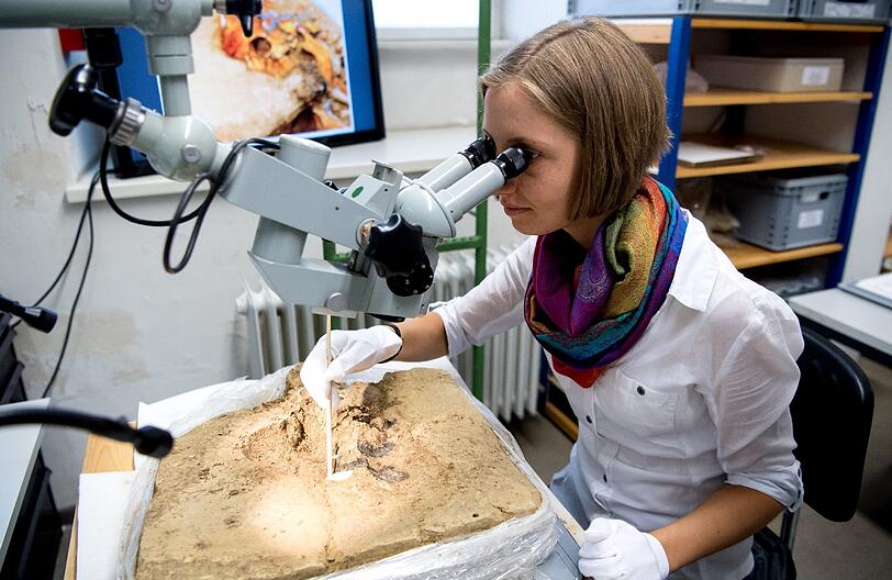 Restauratorin Svenja Kampe arbeitet im Landesamt für Denkmalpflege an Fundstücken aus dem Kammergrab.