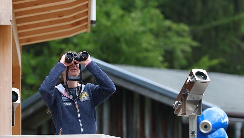 Rangerin Daniela Tritscher war bislang f&uuml;r das Naturschutzzentrum Alpinium in den Allg&auml;uer Bergen unterwegs. Nun wird das Modellprojekt beendet. (Archivbild)