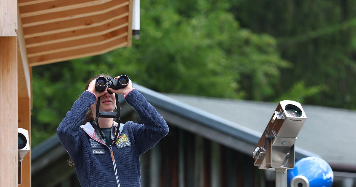 Bayern-stoppt-Modellprojekt-am-Riedberger-Horn