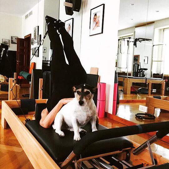 Andere gehen Gassi: Audrey hat einen eigenen Fitness Coach, der sie in Form bringt.