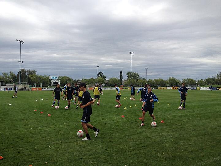 Die Löwen im Trainingslager - die Bilder vom zweiten Tag in Neusiedl am See