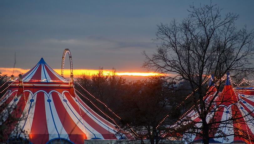 Zirkusbetriebe müssen an die Gema zahlen. (Symbolbild) Zirkusbetriebe müssen an die Gema zahlen. (Symbolbild)