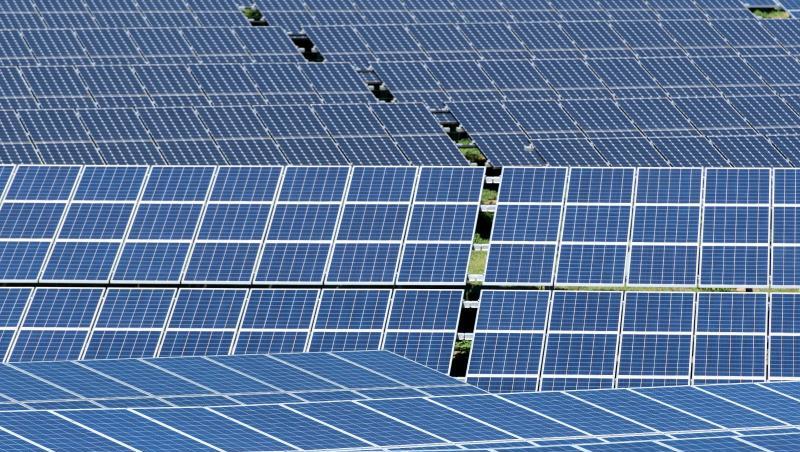 Solarmodule stehen in der Sonne.