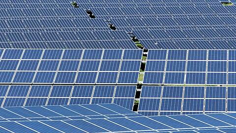Solarmodule stehen in der Sonne.
