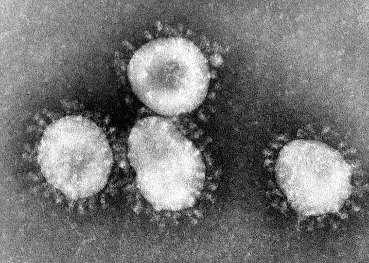 Das Handout des amerikanischen Centers for Disease Control (CDC) zeigt einen Coronavirus unter dem Mikroskop. "Mers" gehört zu dieser Viren-Gruppe.