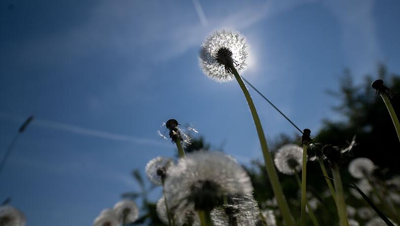 Es wird sommerlich in Bayern. (Archivbild) Es wird sommerlich in Bayern. (Archivbild)
