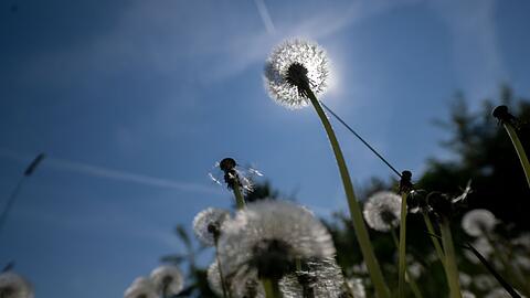 Es wird sommerlich in Bayern. (Archivbild)
