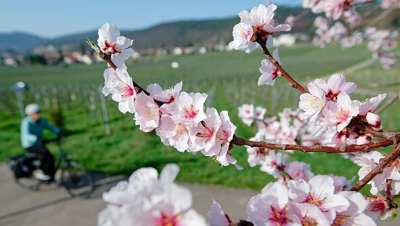 Im März lockte das Wetter bereits zu vielen Aktivitäten ins Freie. (Archivbild) Im März lockte das Wetter bereits zu vielen Aktivitäten ins Freie. (Archivbild)