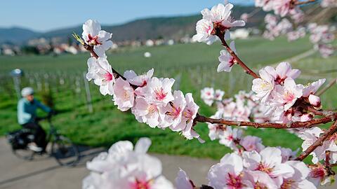 Im M&auml;rz lockte das Wetter bereits zu vielen Aktivit&auml;ten ins Freie. (Archivbild)