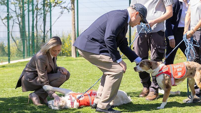 F&uuml;rstin Charl&egrave;ne und F&uuml;rst Albert lie&szlig;en sich bei der Er&ouml;ffnung des Tierheims zum Hundekraulen hinrei&szlig;en.