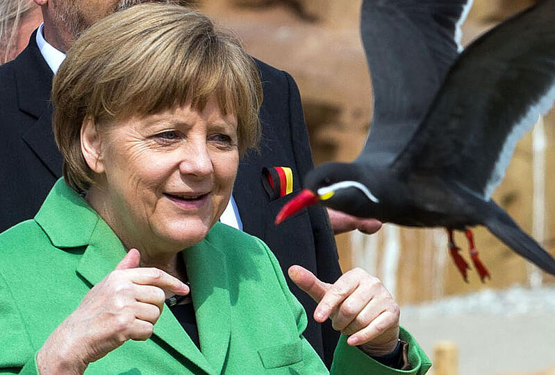 Fernab der Probleme in Berlin hat Kanzlerin Angela Merkel tierisch Spaß in einem Tierpark in der Nähe von Rostock. Die Bilder.