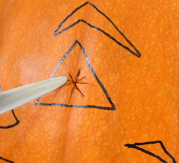 In vorgeborte Löcher können Sie das Messer leichter ansetzen. Schneiden Sie von hier zu den Rändern. Ist es zu schwer zu schneiden, einfach innen noch etwas Fleisch wegkratzen. Dann geht es einfacher.