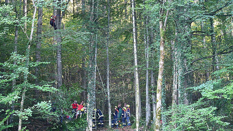 Die Bergwacht kletterte zwar auf den Baum, dieser war aber zu morsch. Also musste Rettung von oben her.