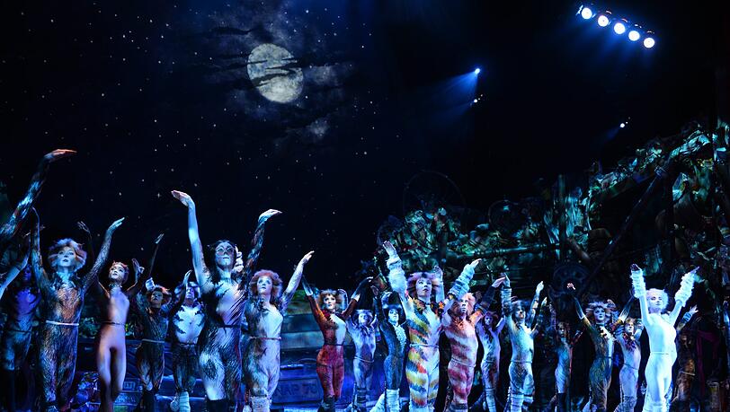 "Cats" im Deutschen Theater. "Cats" im Deutschen Theater.
