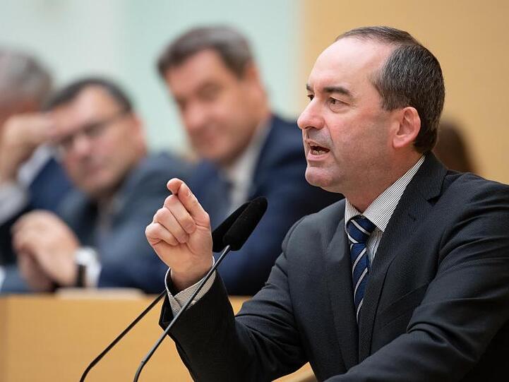Hubert Aiwanger, Wirtschaftsminister von Bayern, spricht während einer Plenarsitzung. Foto: Sven Hoppe/dpa