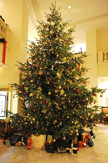 Pracht-Christbaum im Hotel Mandarin Oriental