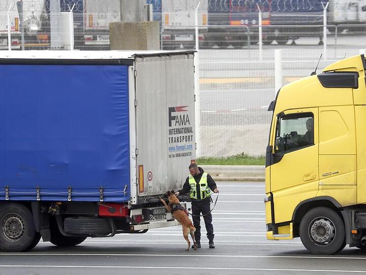 Der Grenzübertritt wird langwieriger: Ein Spürhund durchsucht die wartenden Lastwagen im Hafen von Calais in Frankreich, bevor sie auf die Fähren nach Großbritannien fahren.