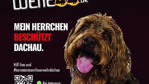 Sammys Herrchen ist der zweite Kommandant der FFW Dachau.
