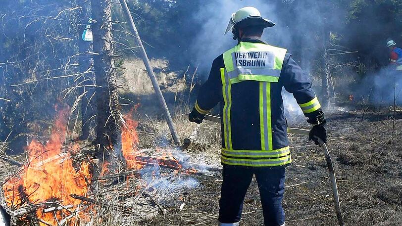 Insgesamt brannte fast ein Hektar frisch aufgeforsteter Wald. Die Feuerwehr musste das Wasser zur Einsatzstelle transportieren...