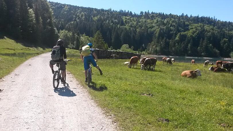 Die Natur am Kochel- und Walchensee hat das Prädikat 'atemberaubend' mehr als verdient.