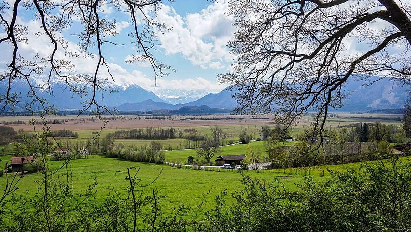 Der Blick auf das Murnauer Moos mit dem Estergebirge dahinter. Auch das Ramsachkircherl kann man etwas rechts von der Bildmitte erkennen.
