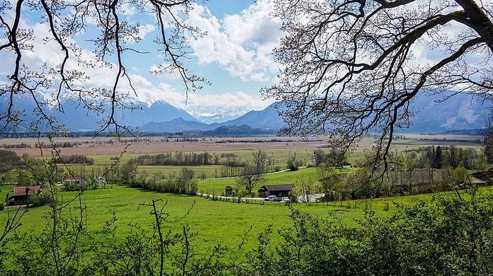 Der Blick auf das Murnauer Moos mit dem Estergebirge dahinter. Auch das Ramsachkircherl kann man etwas rechts von der Bildmitte erkennen.