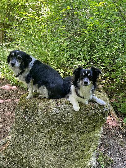 Bounty und Krümel: Die zwei Chaos-Zwerge - grosse Klappe, ganz klein.