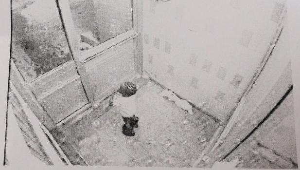 Niemand hatte bemerkt, dass Elijah nachts das Haus der Eltern verlassen hatte. Wieso war die Türe nicht abgesperrt? Niemand hatte bemerkt, dass Elijah nachts das Haus der Eltern verlassen hatte. Wieso war die Türe nicht abgesperrt?