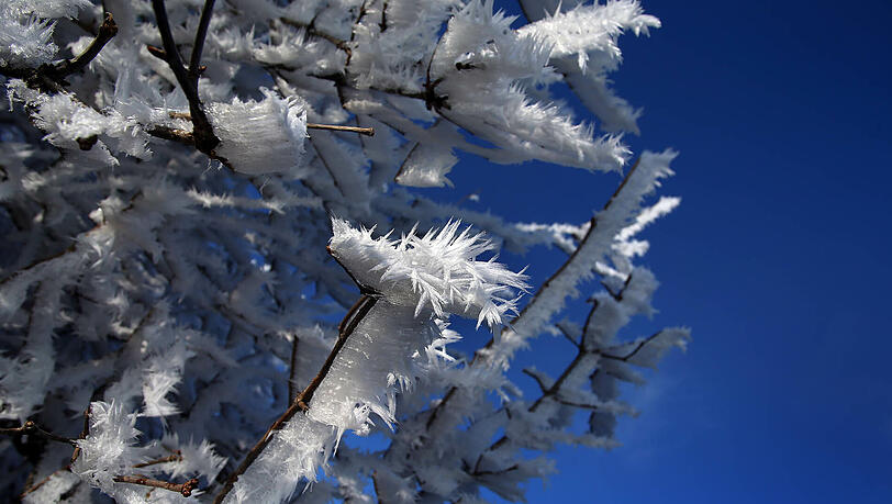 Der Winter kommt nach Deutschland zurück! Mit einigen Tipps und Tricks können Sie den kalten Temperaturen aber trotzen. Der Winter kommt nach Deutschland zurück! Mit einigen Tipps und Tricks können Sie den kalten Temperaturen aber trotzen.