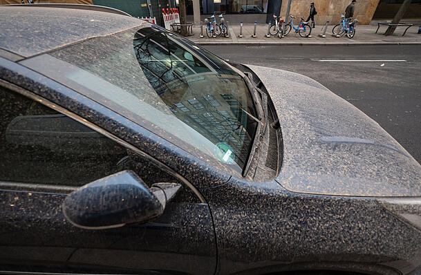 Auch im und am Auto sammeln sich viele Pollen. Auch im und am Auto sammeln sich viele Pollen.