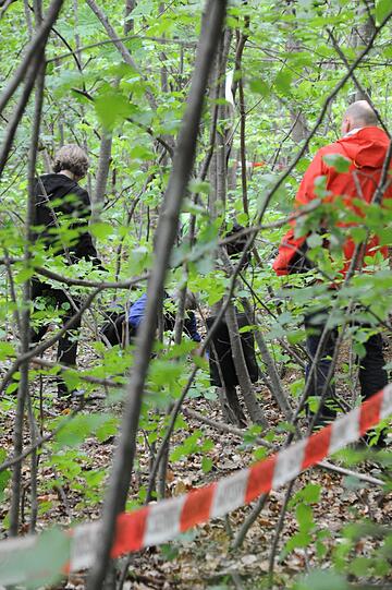 Menschliche Schädelknochen hat die Polizei im Kapuzinerhölzl in der Menzinger Straße gefunden. Die Bilder von der Spurensicherung...