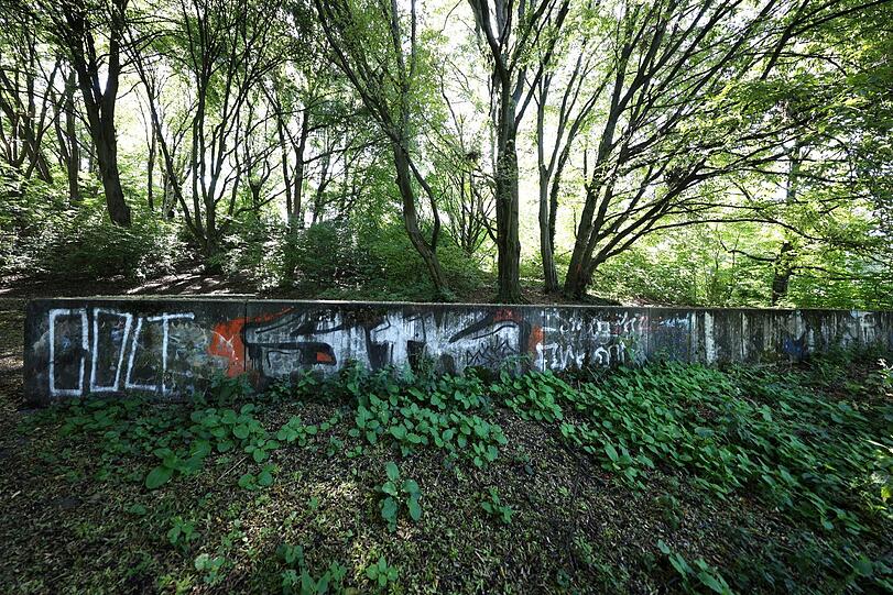Selbst die Mauer fügt sich stimmig in die grüne Umgebung.