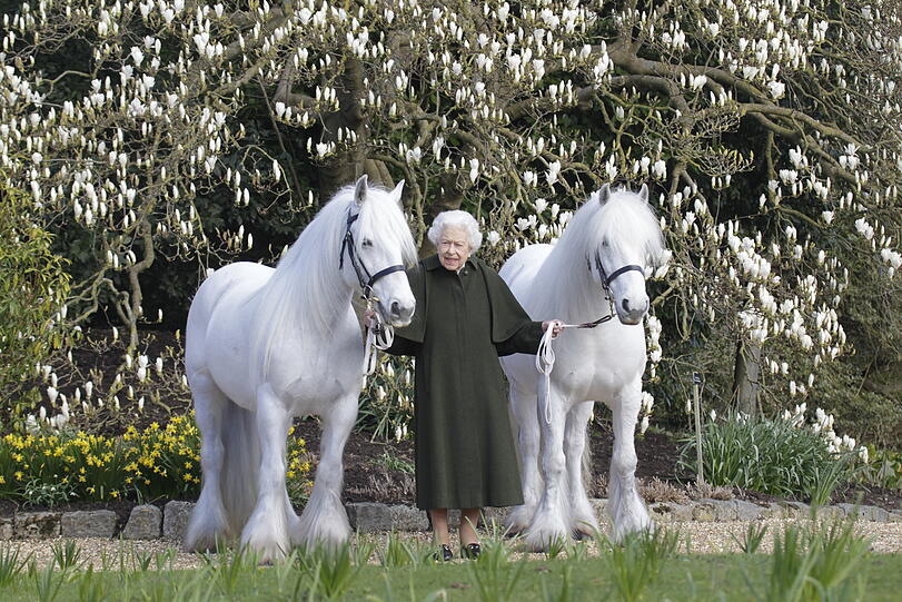 Dieses Foto hat der Palast anlässlich des 96. Geburtstages der Queen am 21. April 2022 veröffentlicht. Es zeigt die Königin mit den beiden Fell-Ponys Bybeck Katie und Bybeck Nightingale.