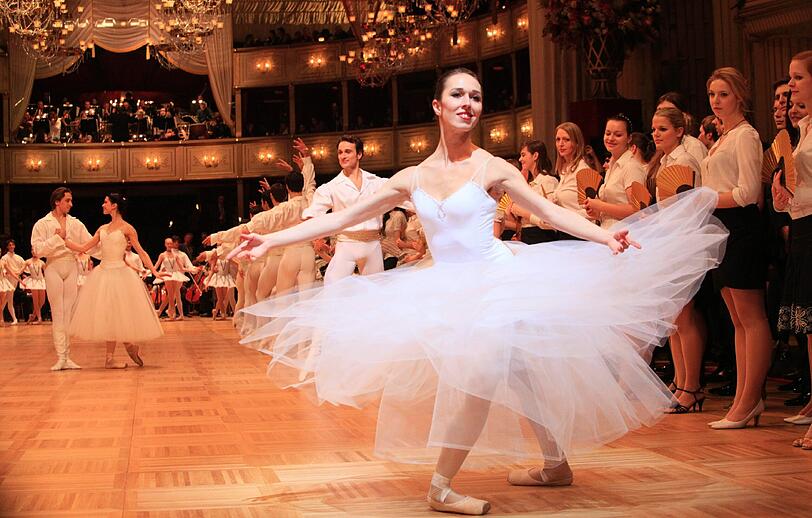 Wiener Opernball 2013: Die besten Bilder
