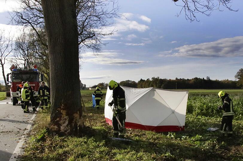 Ein 27-jähriger Student stirbt nach Aufprall gegen Baum.