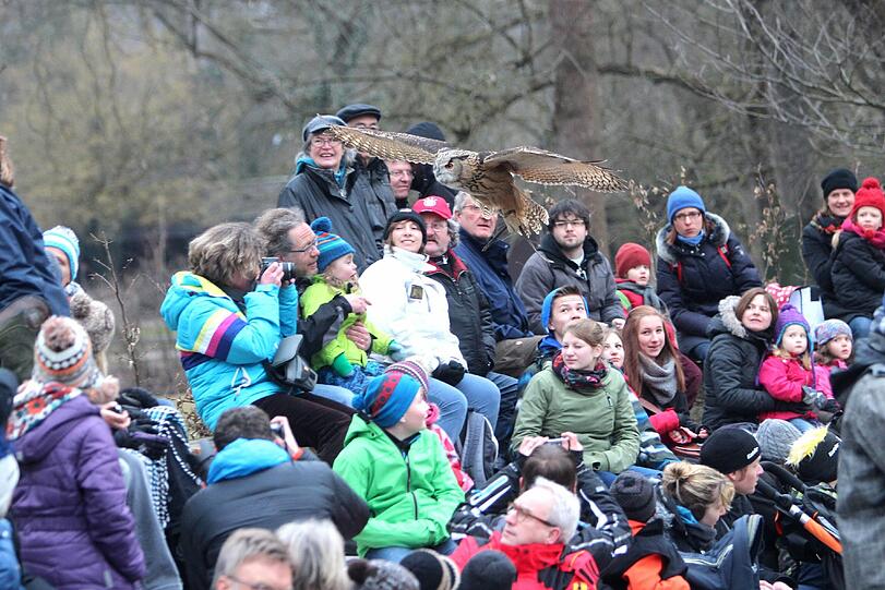 Die Greifvogel-Show im Tierpark hat jetzt eine richtige Zuschauertribüne bekommen. Am Dienstag wurde sie eröffnet.