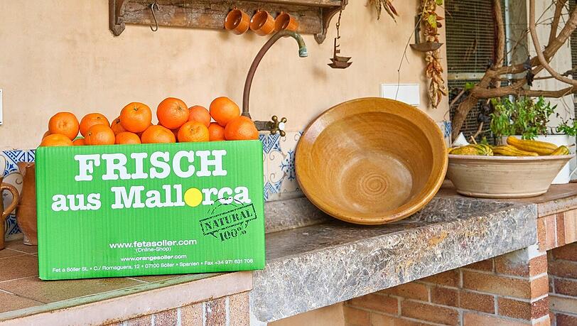 Bestellen Sie noch heute erntefrische Orangen online aus dem Tal von Sóller. Bestellen Sie noch heute erntefrische Orangen online aus dem Tal von Sóller.