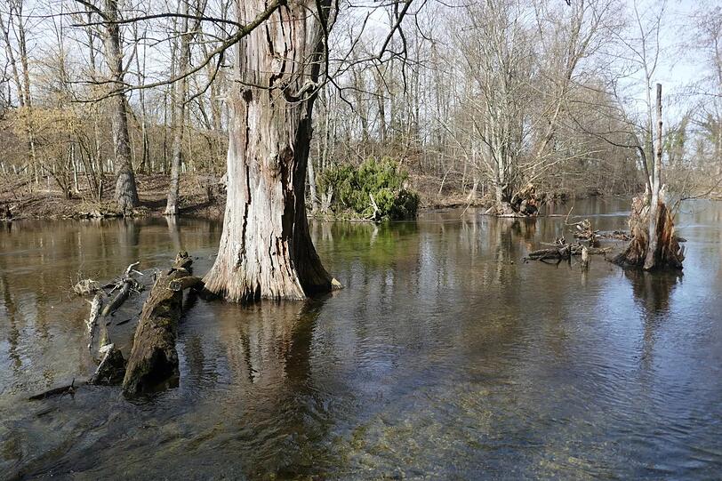 Idyllisch: die Würm. Idyllisch: die Würm.